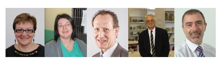 All keynote speakers